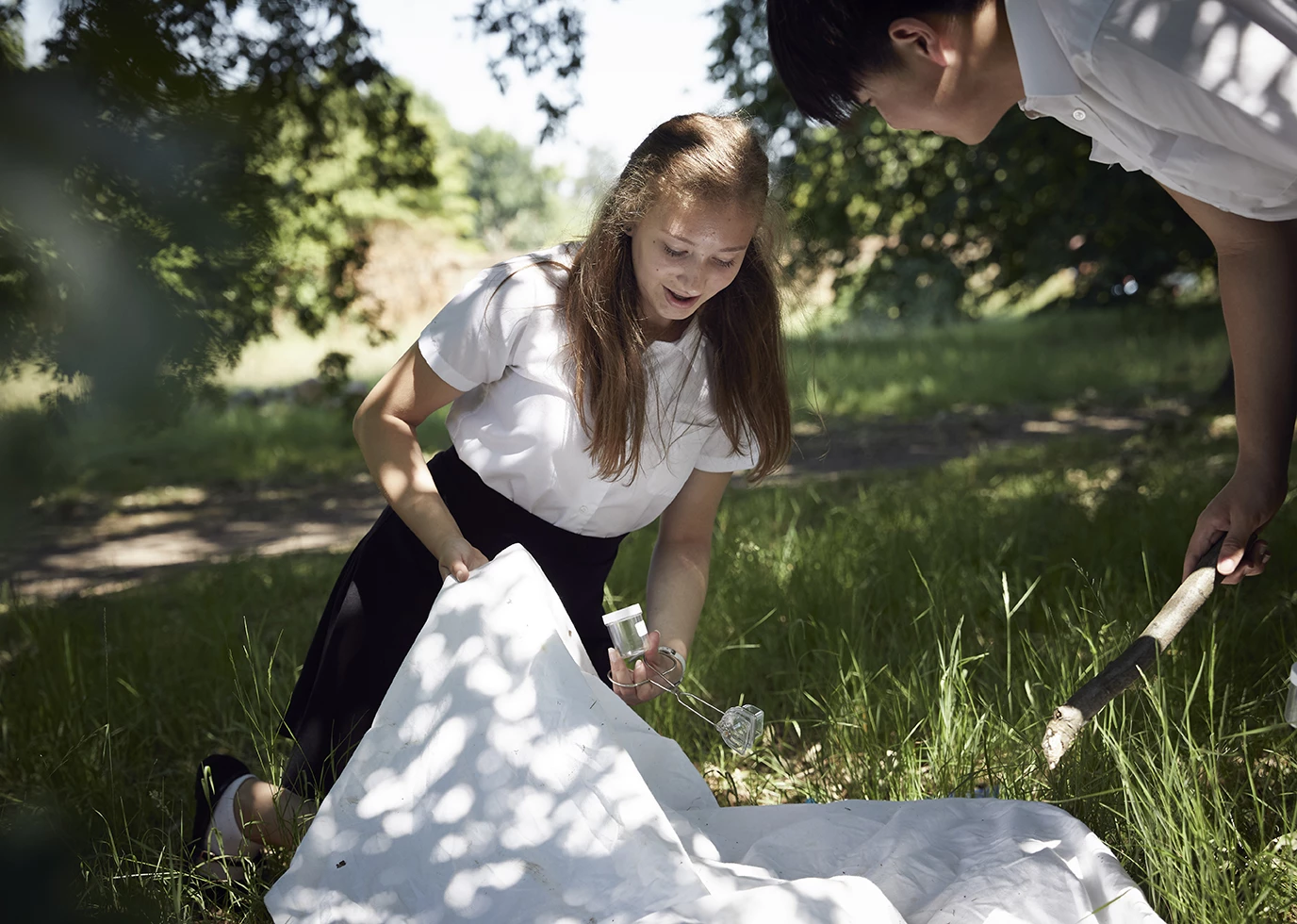 Students in the grass checking insects