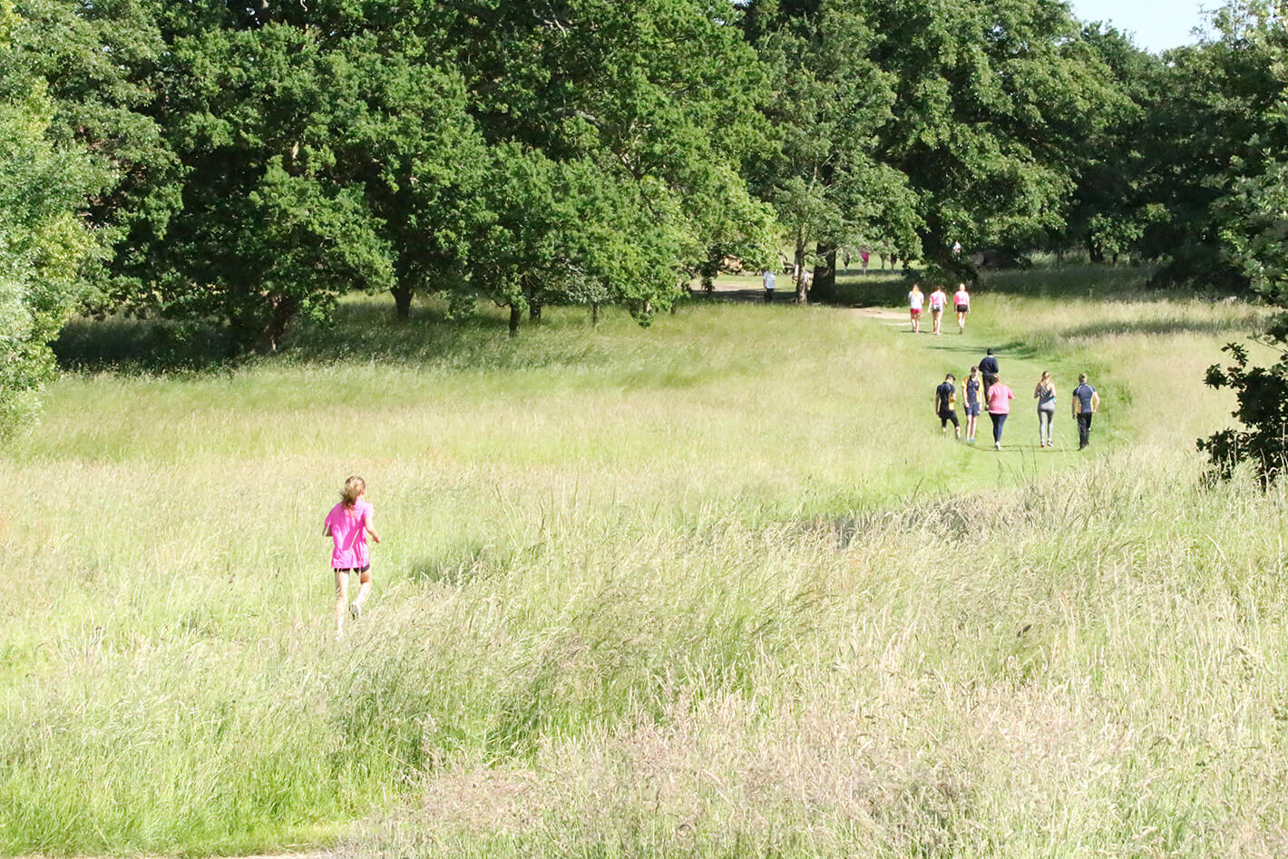 Running through the field