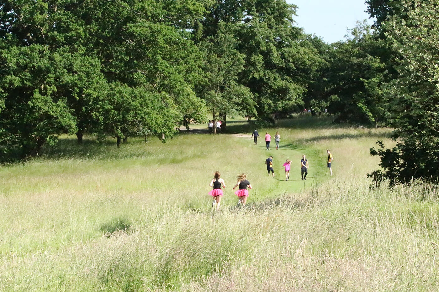 Running through the field