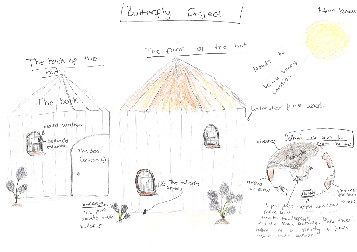 ‘Butterfly Population and Climate Change’ project by Elina, in Year 7