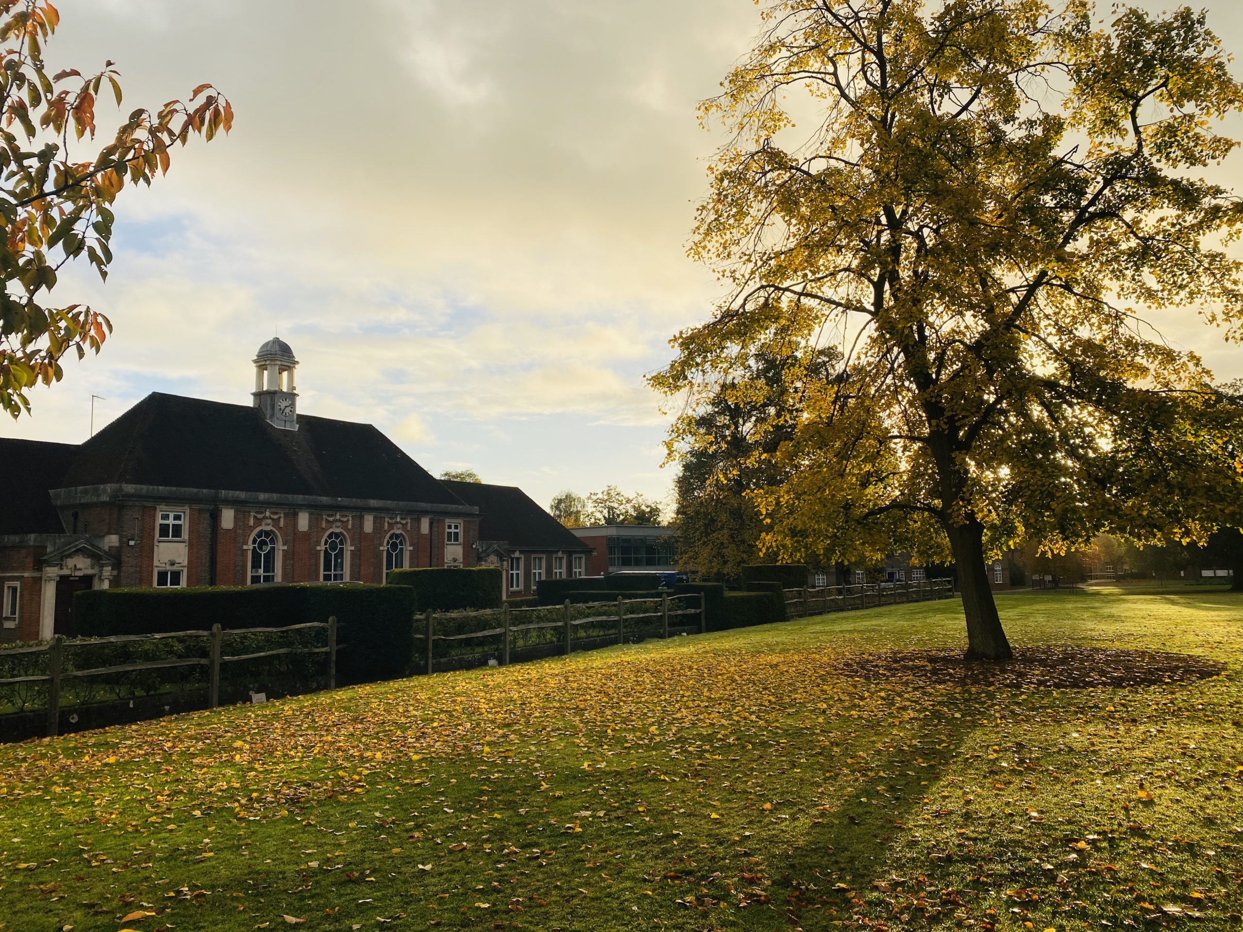 Peckover