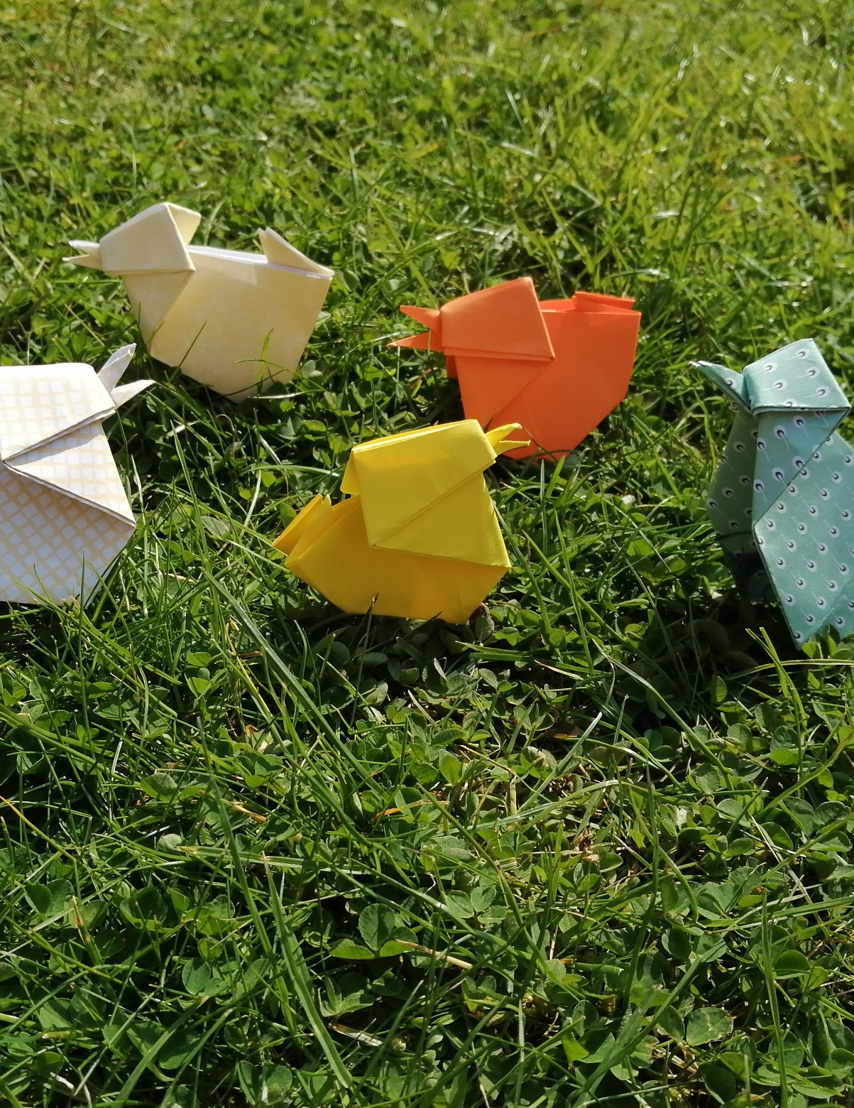 skills origami ducks on grass